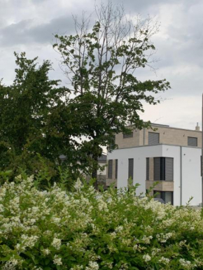 Mosaikhaus Smart Home